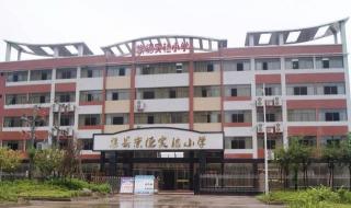 春华教育会计学费多少