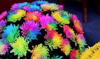金银花的花朵为什么会变色