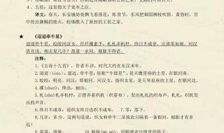 小学六年级语文总复习