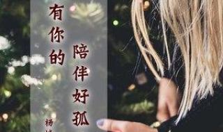 没有你陪伴真的好孤单