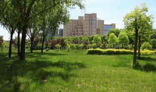 河南二本公办大学排名