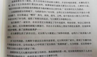 写作品梗概500字六年级