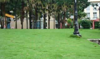 德宏师范高等专科学校