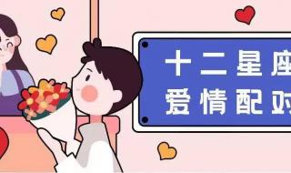 天枰座和什么星座最配