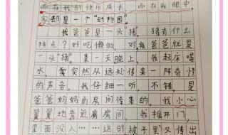 小小动物园作文300字